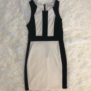 Brigitte Bailey Mini Dress